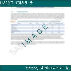 グローバルリサーチ調査レポートのイメージ